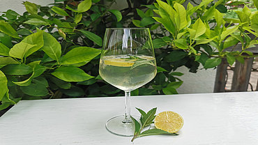 Cider-Hugo
