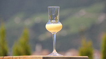 Advocaat