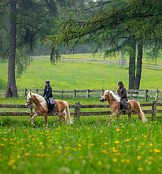 Paardrijden in Zuid-Tirol: in stevige galop