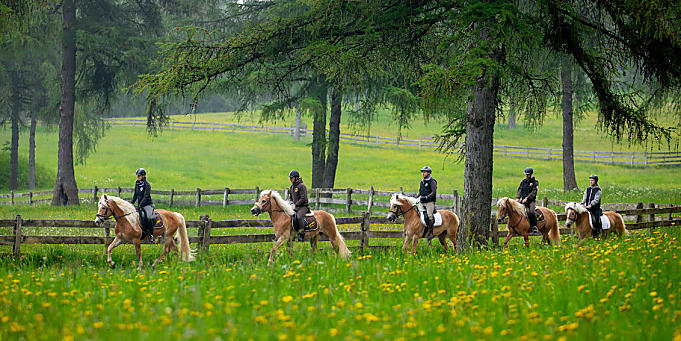 Paardrijden in Zuid-Tirol: in stevige galop