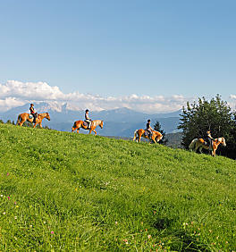 Paardrijvakantie in Zuid-Tirol: paardengefluister op de boerderij