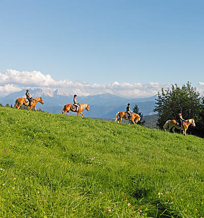 Paardrijvakantie in Zuid-Tirol: paardengefluister op de boerderij