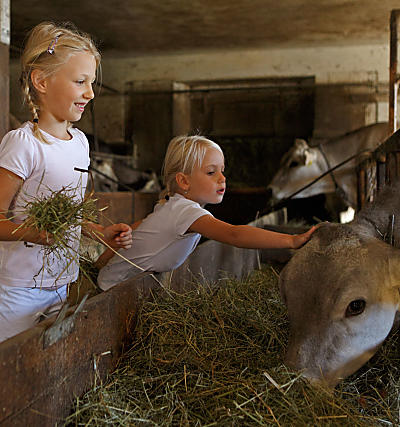 Stalbezoek op de boerderij in Zuid-Tirol