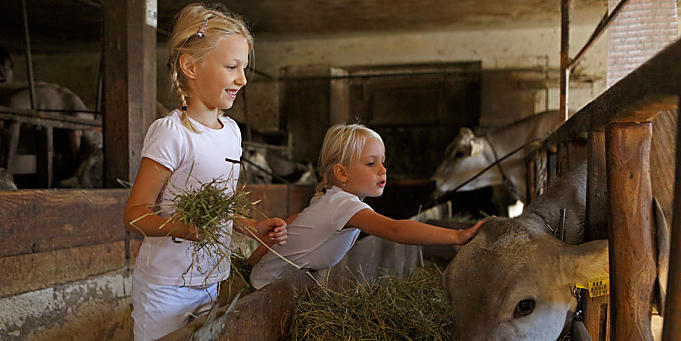 Stalbezoek op de boerderij in Zuid-Tirol