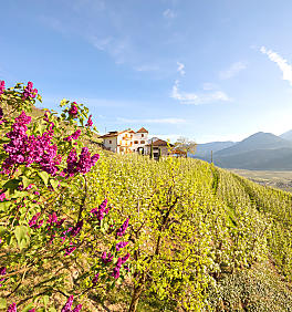 Voorjaarsvakantie op de boerderij in Zuid-Tirol