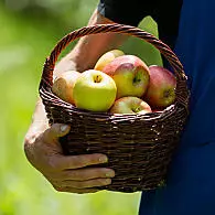 Zuid-Tirools appelteeltgebied