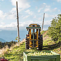 Appelteeltgebied (© Leitnerhof Vöran)