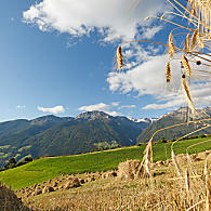 Weiden en akkerland 