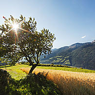 Natuurbehoud en landschapsbeheer