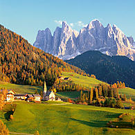Bossen in Zuid-Tirol (© IDM Zuid-Tirol/Clemens Zahn)