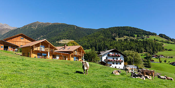 Vakantie op een veeboerderij