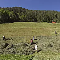 Berglandbouw