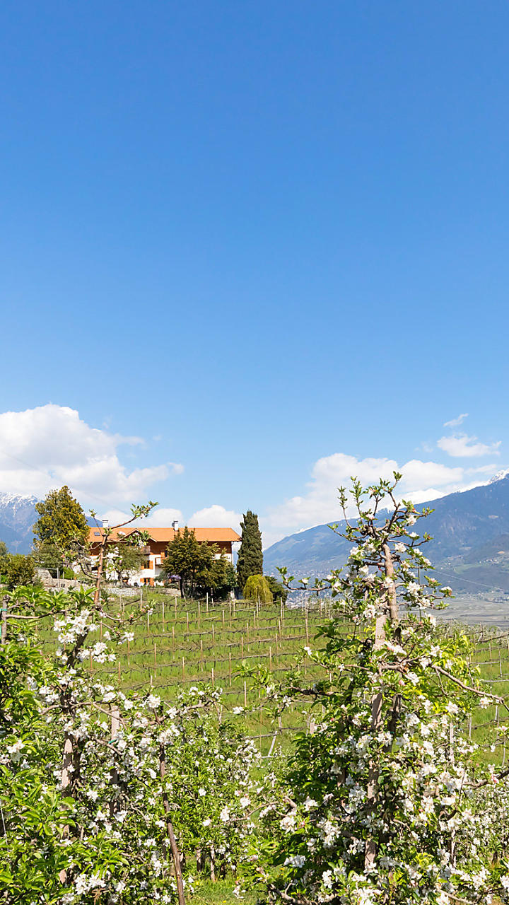 Vakantie op een fruitboerderij in Zuid-Tirol