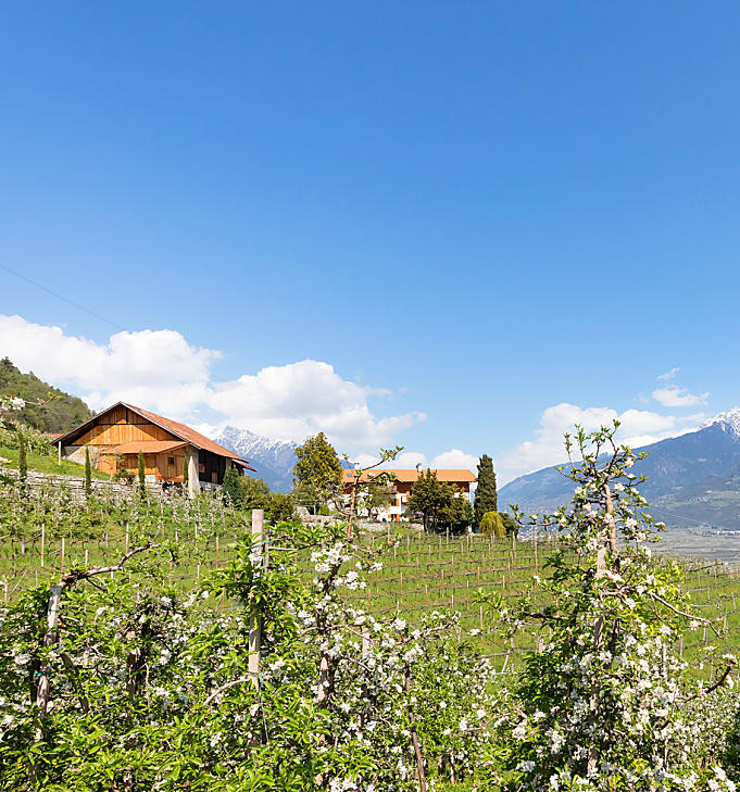 Vakantie op een fruitboerderij in Zuid-Tirol