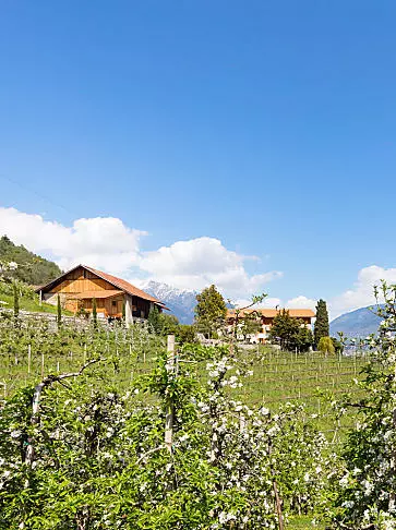 Vakantie op een fruitboerderij in Zuid-Tirol