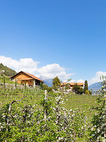 Vakantie op een fruitboerderij in Zuid-Tirol