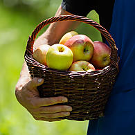 Appelteeltgebied van Zuid-Tirol