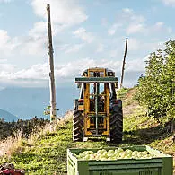 De appelteeltgebied van Zuid-Tirol (© Leitnerhof Vöran)
