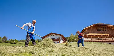 Hooioogst op de boerderij in Zuid-Tirol