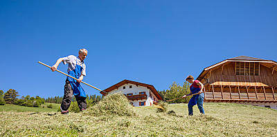 Hooioogst op de boerderij in Zuid-Tirol