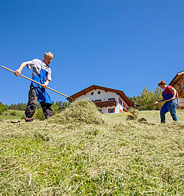 Hooioogst op de boerderij in Zuid-Tirol