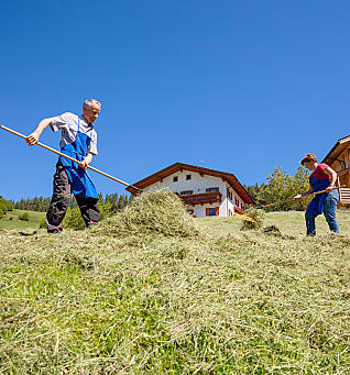 Hooioogst op de boerderij in Zuid-Tirol