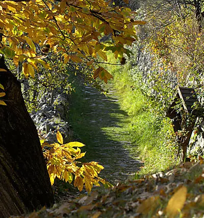 Keschtnweg in het Eisackdal - Zuid-Tirol