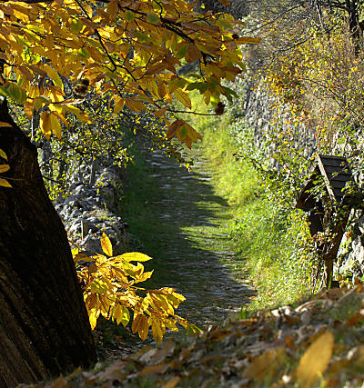 Keschtnweg in het Eisackdal - Zuid-Tirol