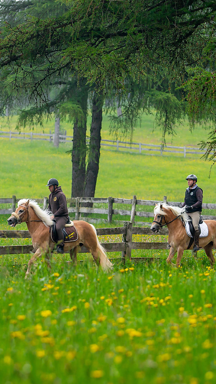 Paardrijden in Zuid-Tirol: in stevige galop