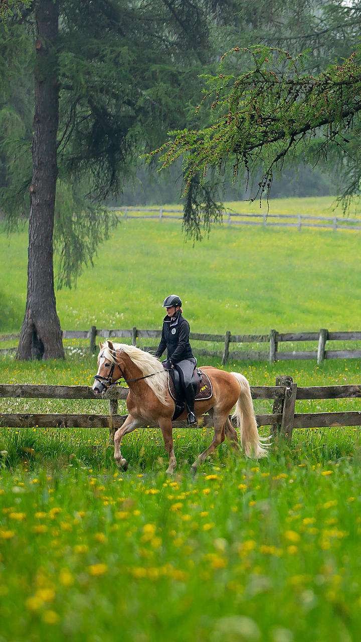 Paardrijden in Zuid-Tirol: in stevige galop