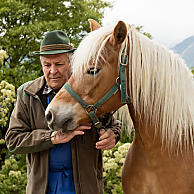 Thuisbasis van de Haflinger paarden en geleefde paardentraditie