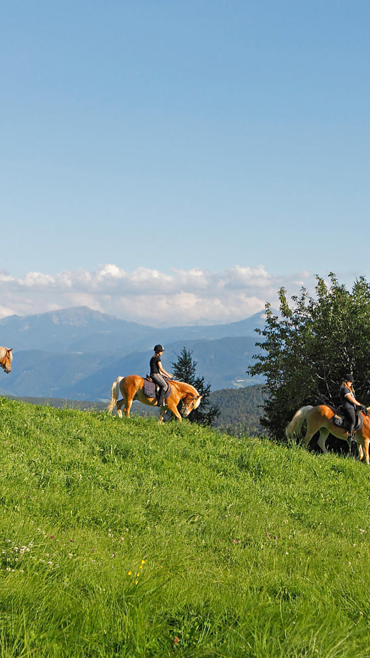 Paardrijvakantie in Zuid-Tirol: paardengefluister op de boerderij