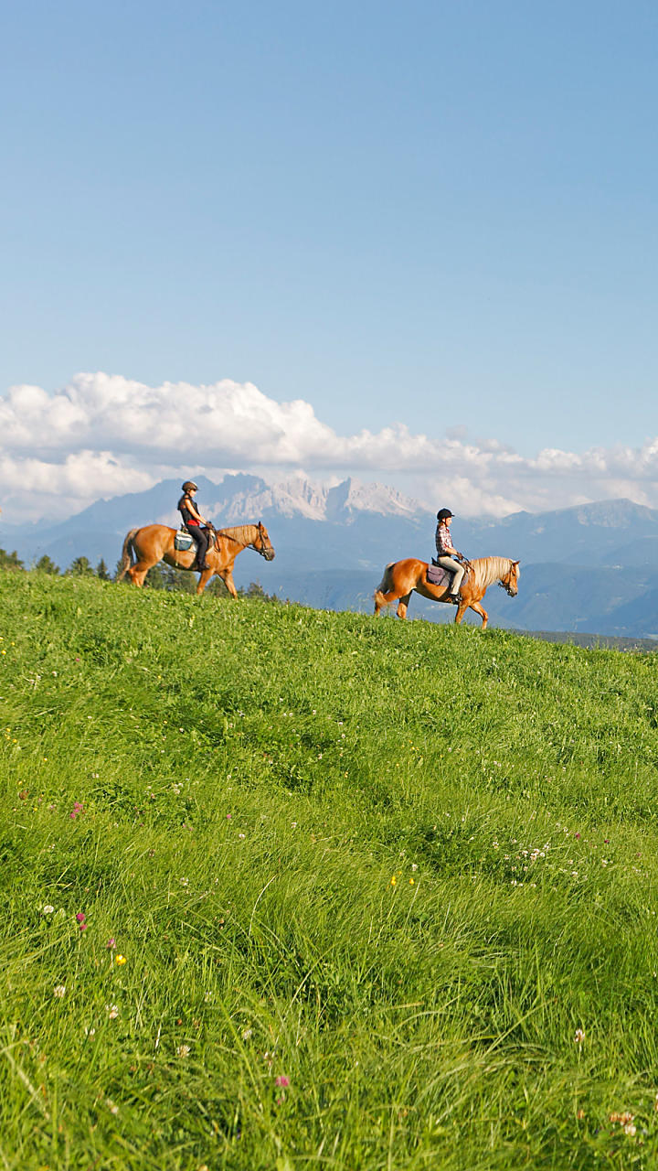 Paardrijvakantie in Zuid-Tirol: paardengefluister op de boerderij