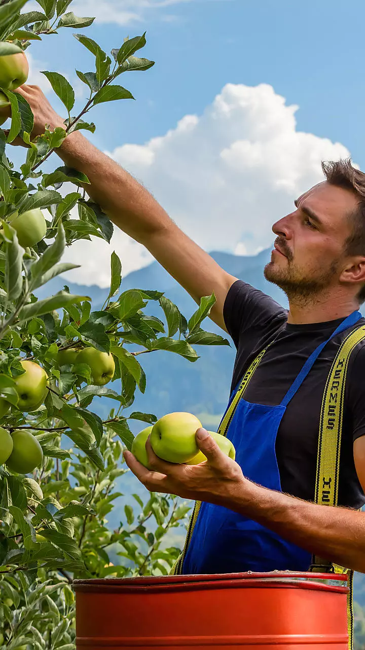 Het dagelijkse boerenleven in Zuid-Tirol meemaken