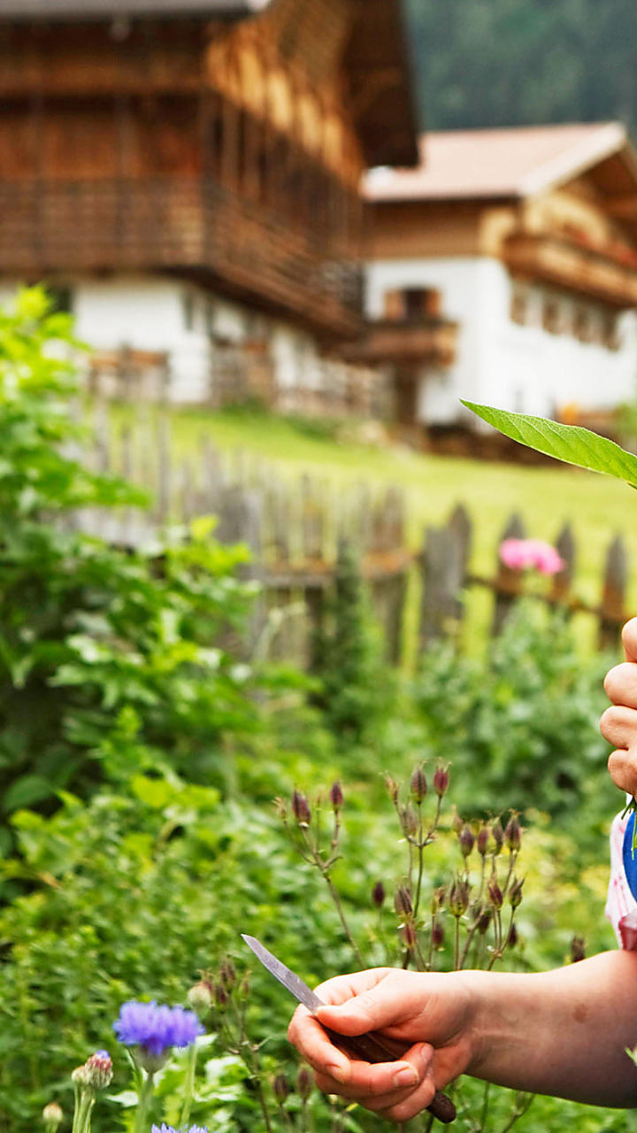 Leren op een boerderijvakantie in Zuid-Tirol