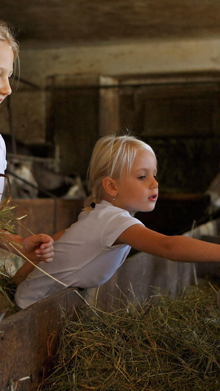 Stalbezoek op de boerderij in Zuid-Tirol