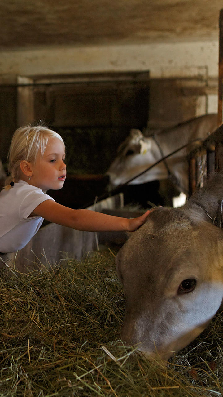 Stalbezoek op de boerderij in Zuid-Tirol