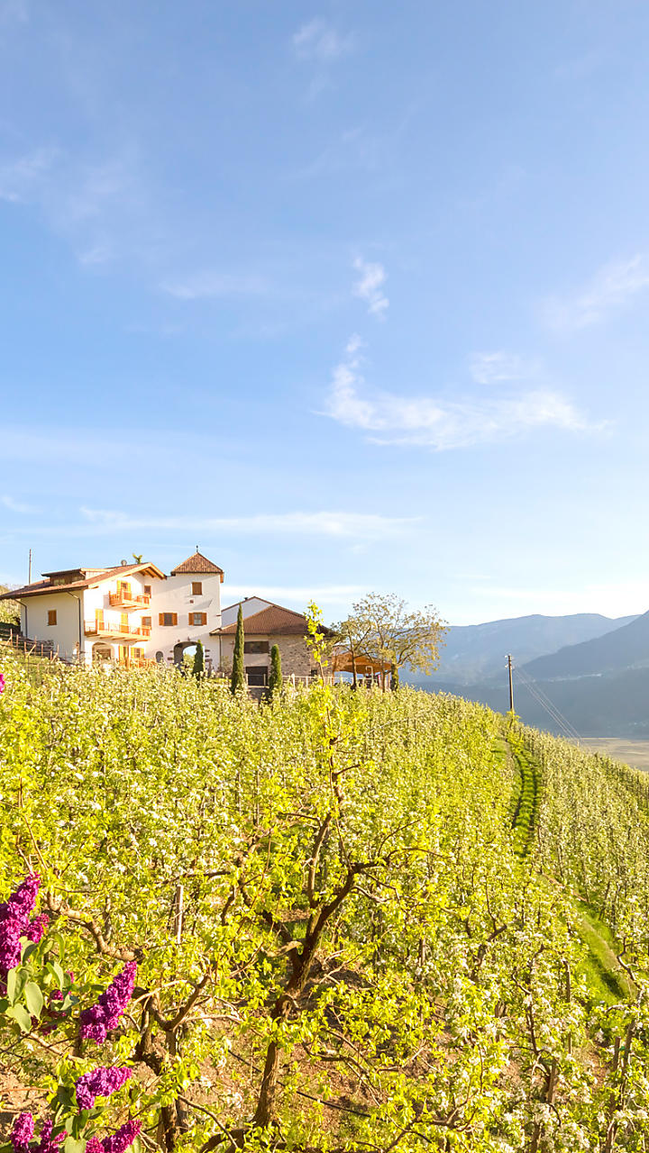 Voorjaarsvakantie op de boerderij in Zuid-Tirol