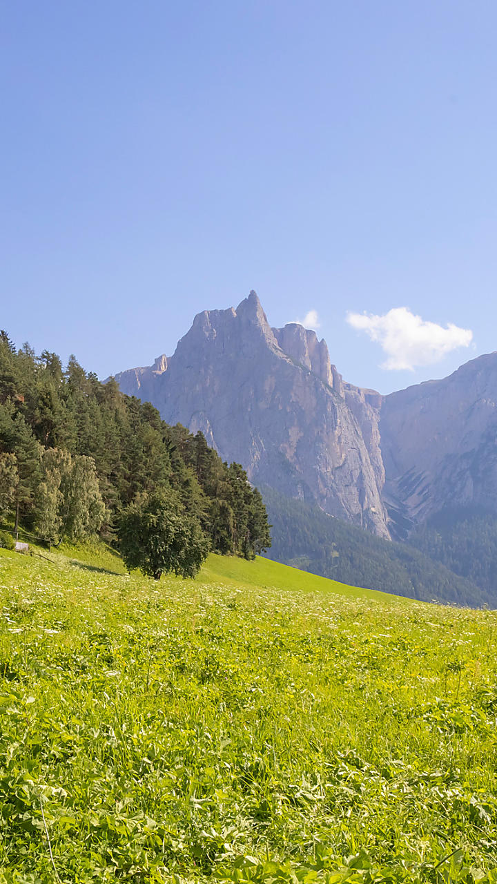 Zomervakantie op de boerderij in Zuid-Tirol