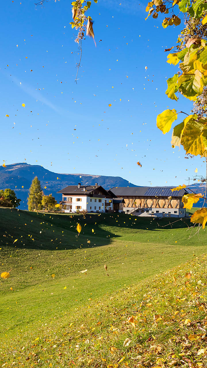 Herfstvakantie op de boerderij in Zuid-Tirol