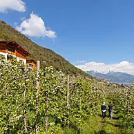 Schilderachtig natuurspektakel laat de dalen stralen
