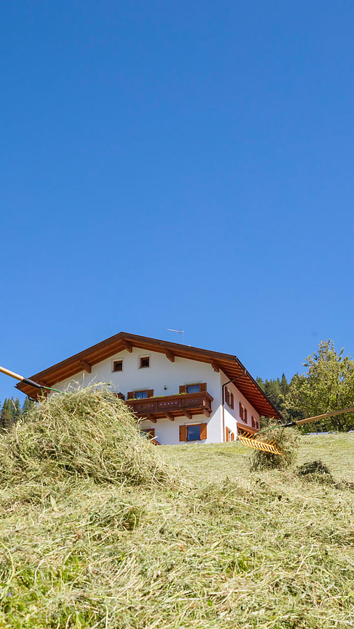 Hooioogst op de boerderij in Zuid-Tirol