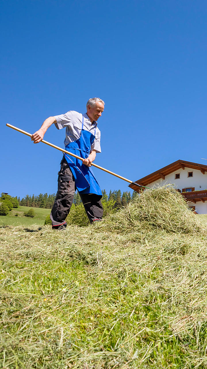 Hooioogst op de boerderij in Zuid-Tirol