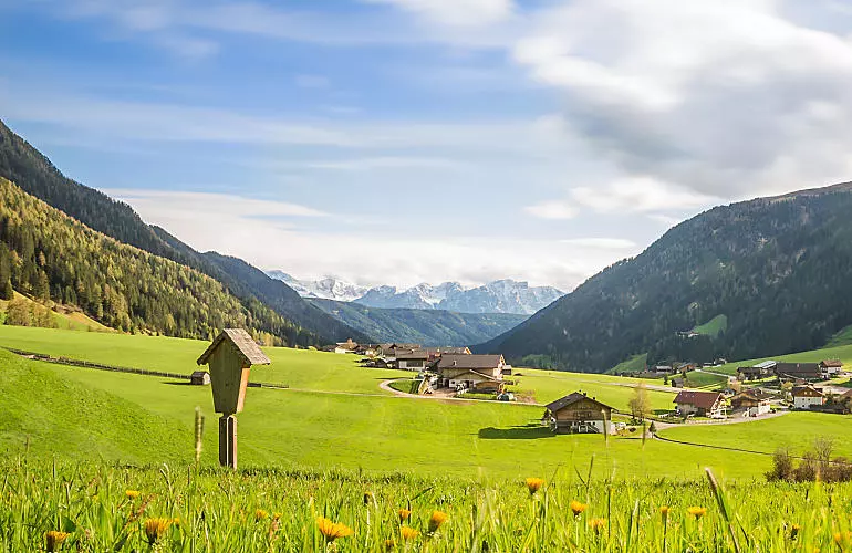 De zijdalen van Zuid-Tirol: Vakantie met uitzicht De zijdalen van Zuid-Tirol: Vakantie met uitzicht