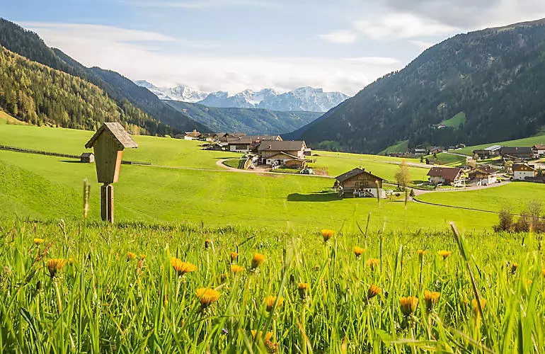 De zijdalen van Zuid-Tirol: vakantie met uitzicht De zijdalen van Zuid-Tirol: Vakantie met uitzicht