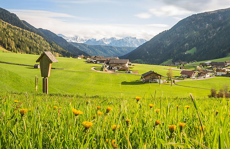 De zijdalen van Zuid-Tirol: Vakantie met uitzicht