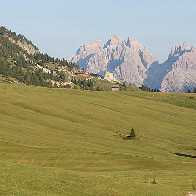 Alpenweide Plätzwiese: Groen paradijs