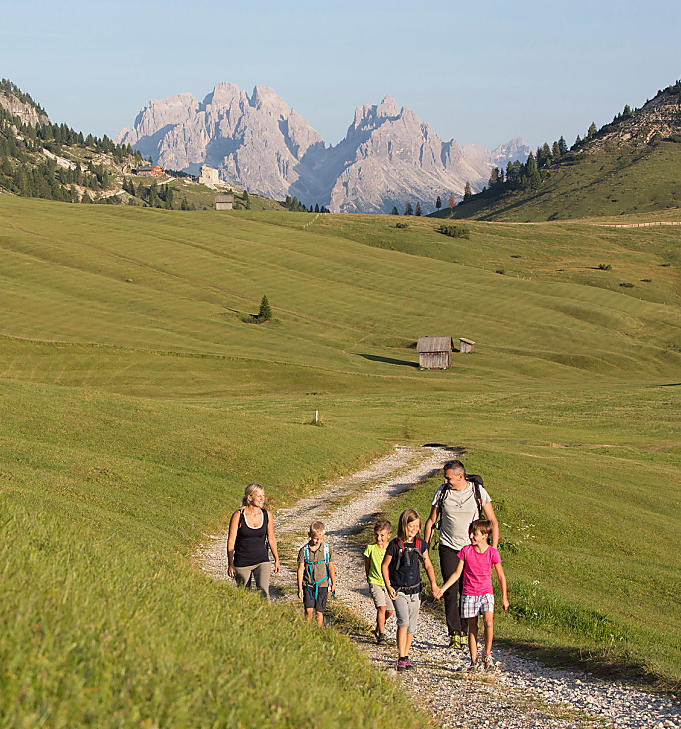 Alpenweide Plätzwiese: Groen paradijs