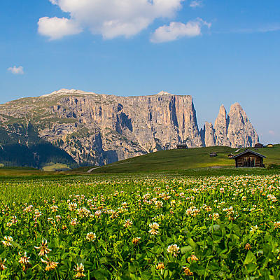 Seiser Alm: de grootste alpenweide van Europa