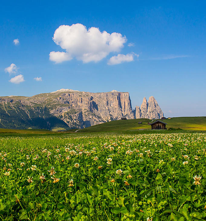 Seiser Alm: de grootste alpenweide van Europa